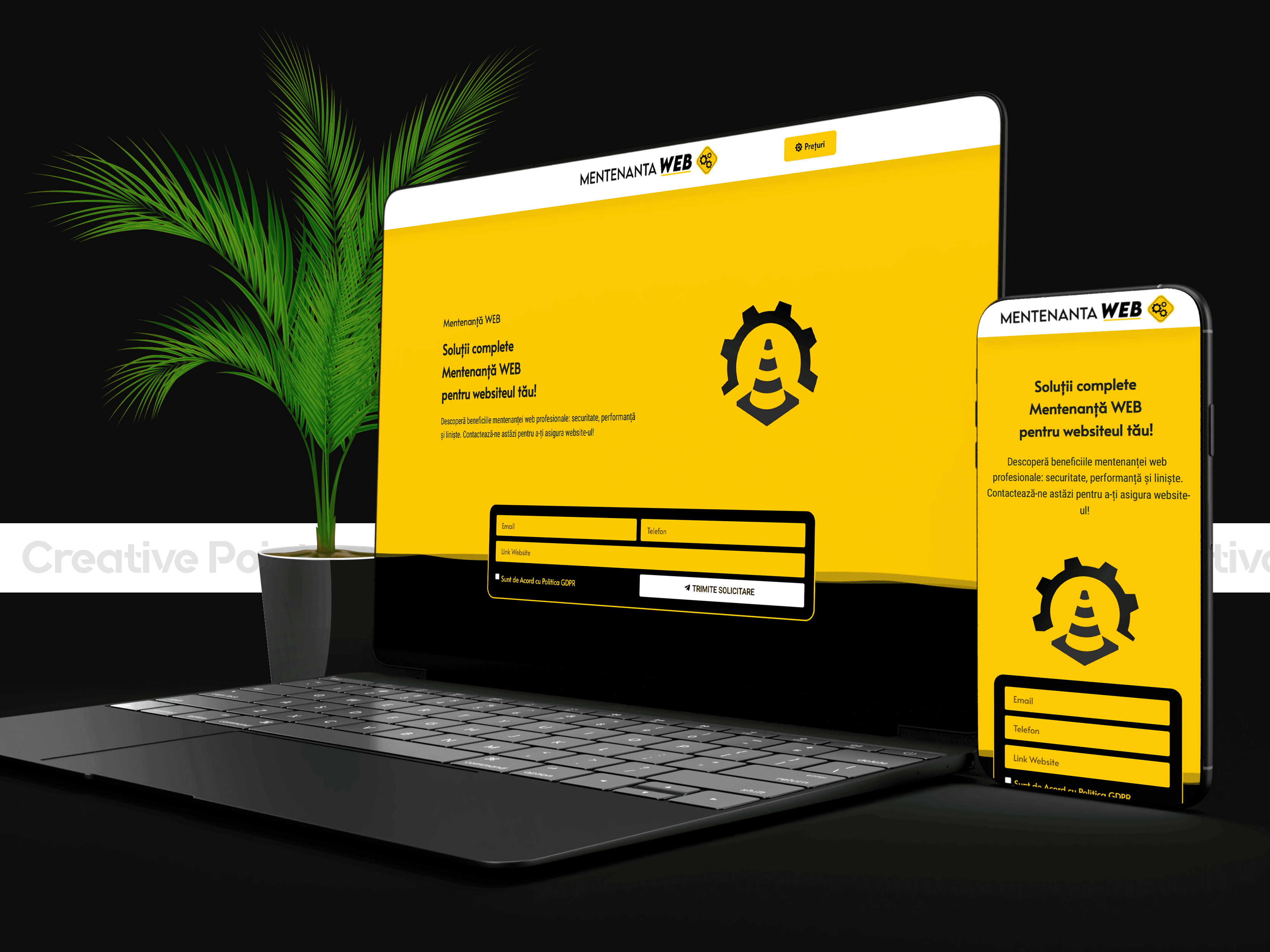 Mentenanta Web