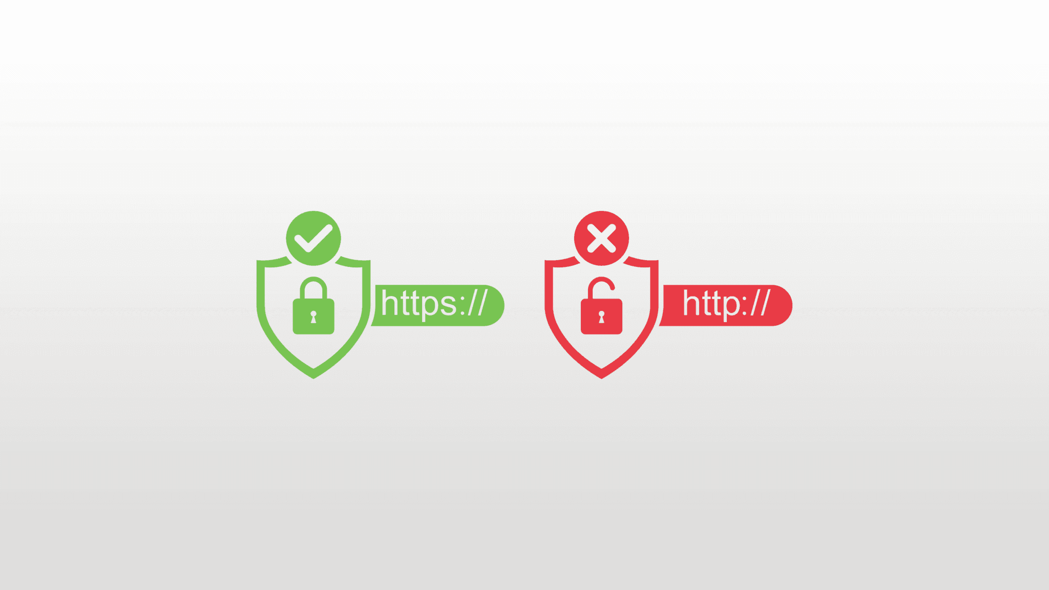 What Is the SSL Protocol and Why Your Website Needs It