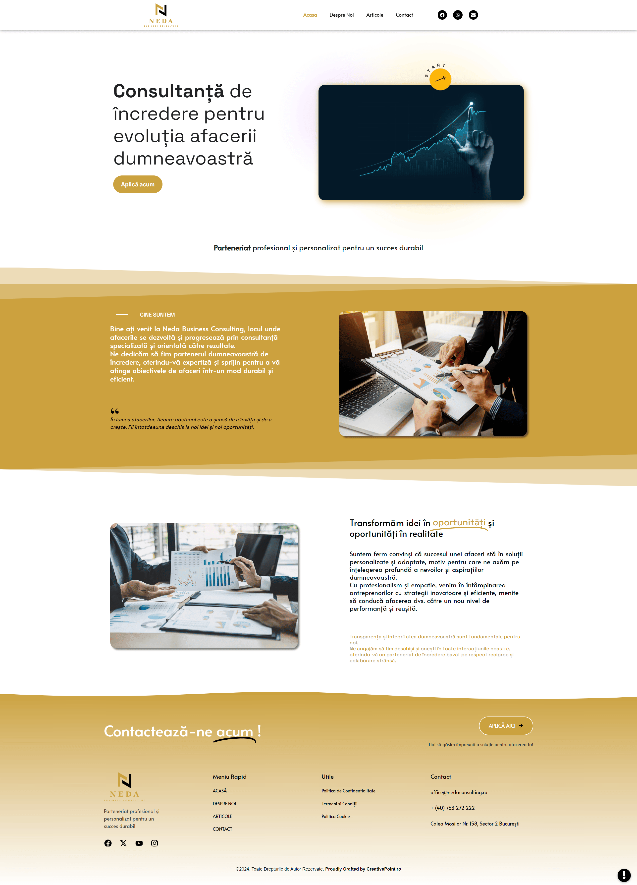 Neda Consulting — Desktop