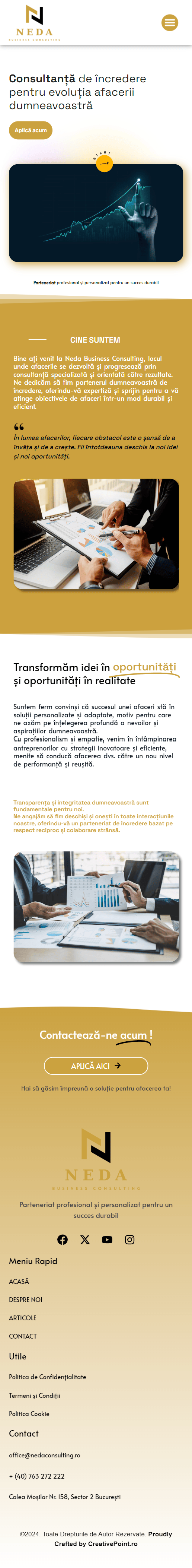 Neda Consulting — Mobile