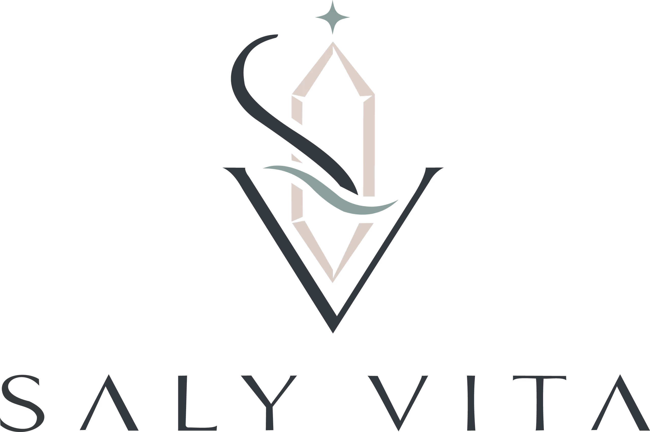Saly Vita — Grafică / Logo